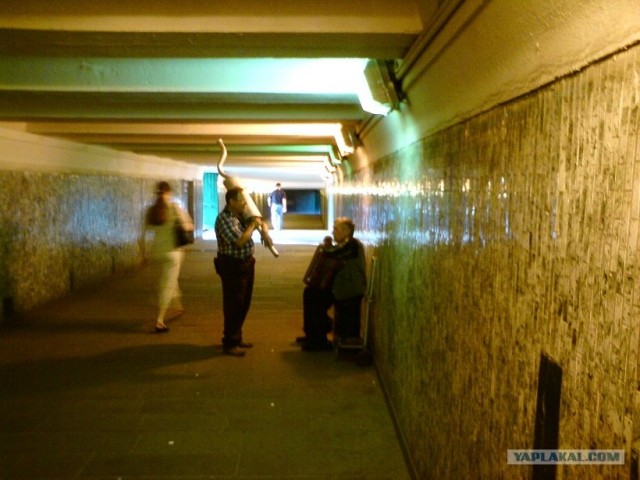 Фото с Nokia 6288