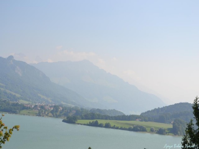 В поисках музея ПрофессораПлейшнера