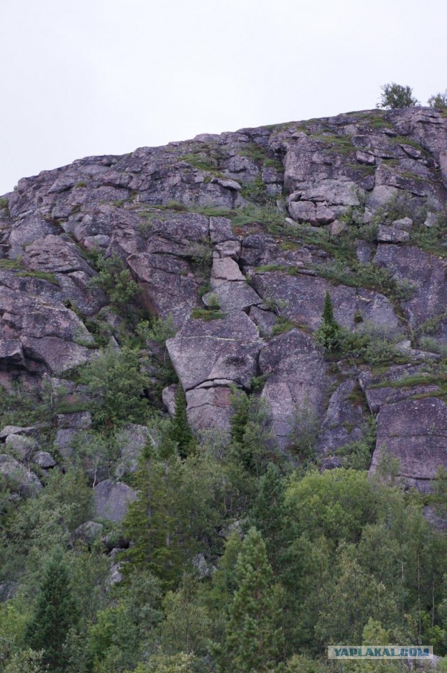 Кузова/Белое море/Гиперборея