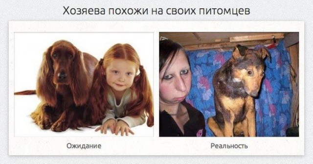Ожидания VS Реальность