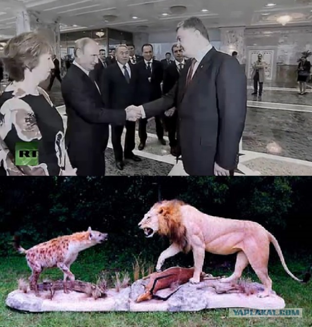 Кто кого боится видно сразу