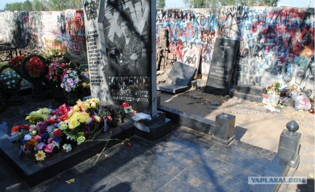фото с кладбища где похоронен Юра Хой.
