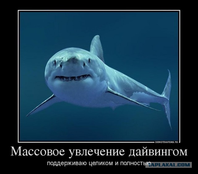 Демотиваторов пост