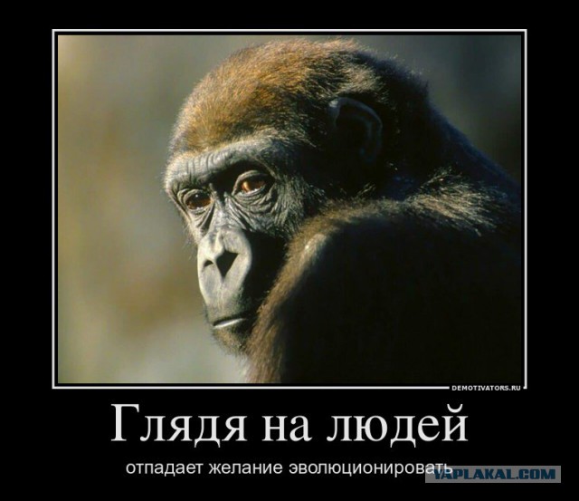 Новая теория происхождения людей