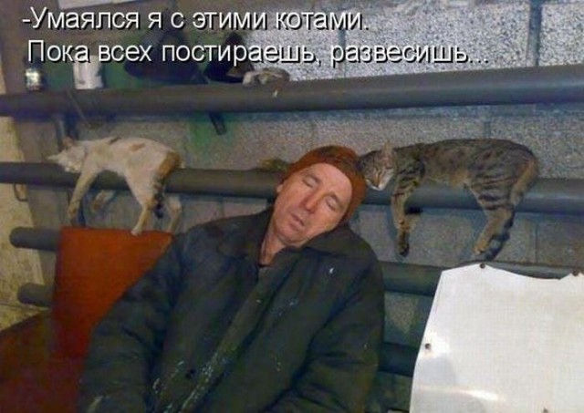 Интересные люди из соц. сетей