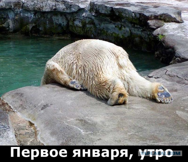 Чуток демотиваторов