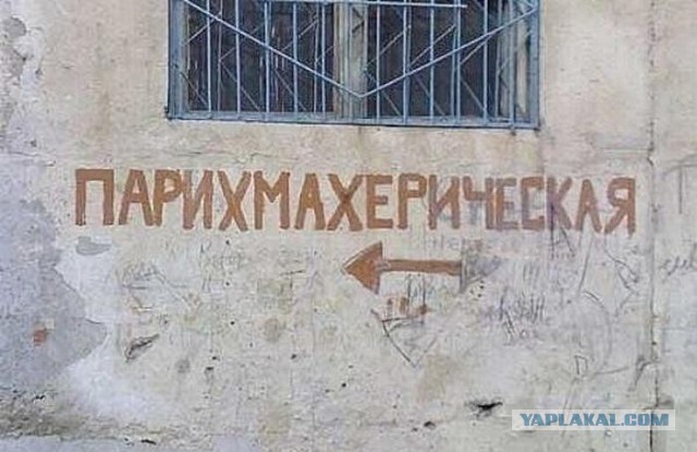 Картинки