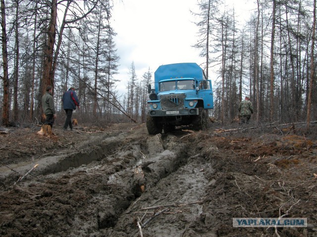 Чукотка. Работа.