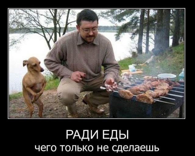 Я кот Матвей , мой метод прост...