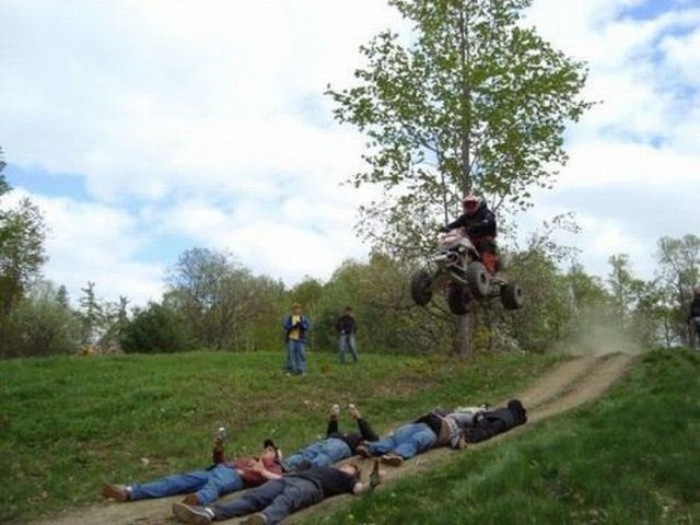 Прикольные картинки и демотиваторы