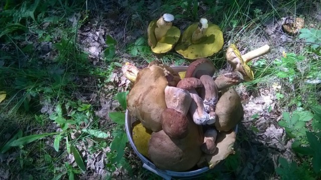 Подборка картинок 20.02.16