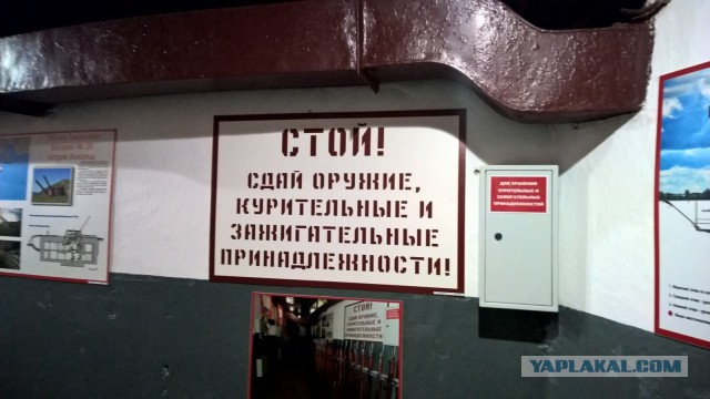 Каникулы во Владивостоке