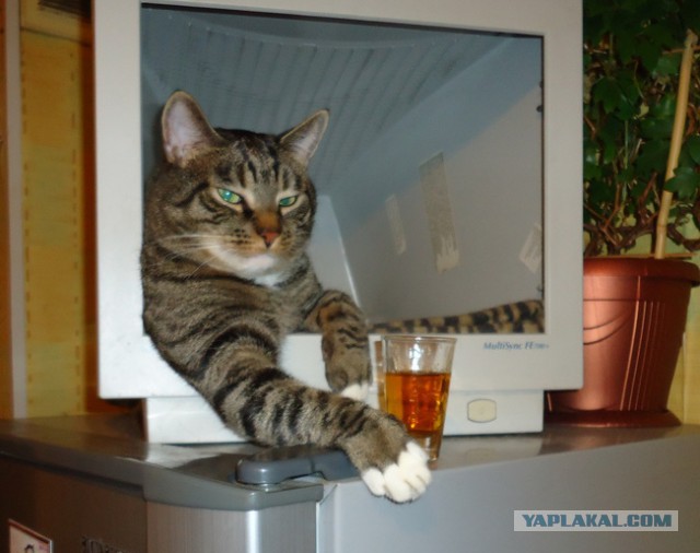 Продам телевизор