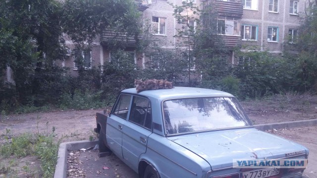 Загнивающий запад, вся правда 18+