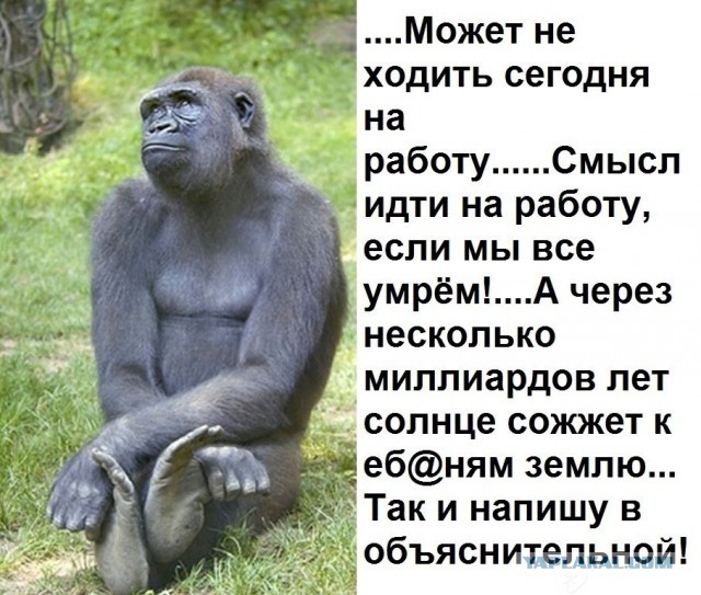 Забавные комментарии, шутки и фразы из этих ваших интернетов