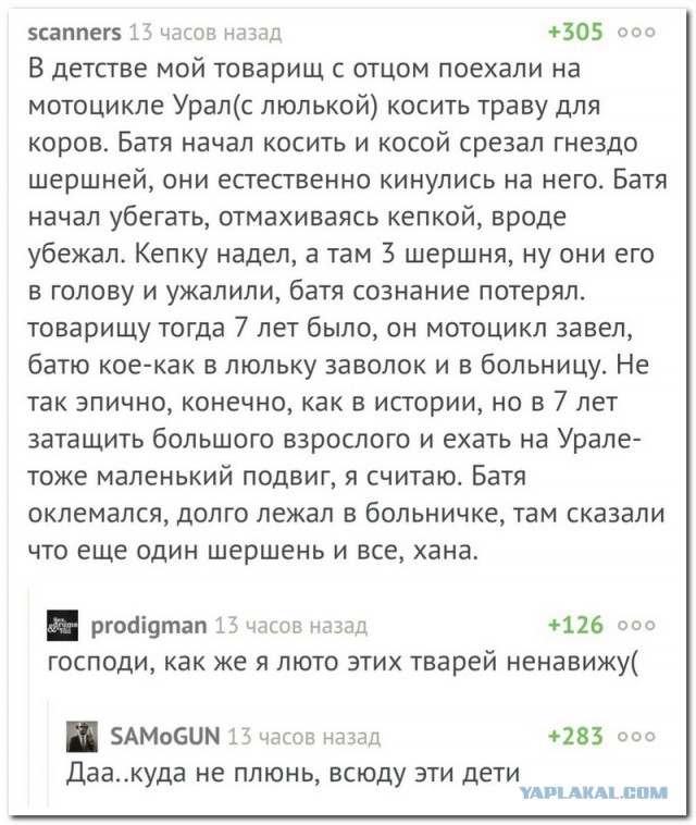 Смешные комментарии из социальных сетей 15.09.2017