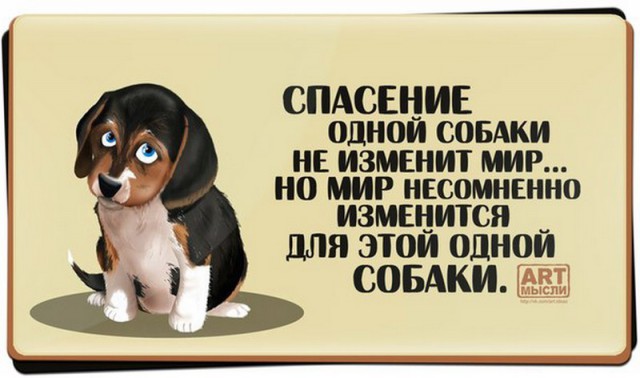 Пёс