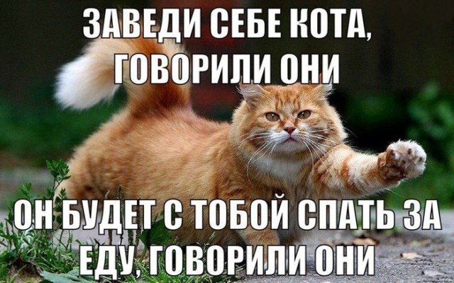 От работы оторвись и к картинкам присмотрись!