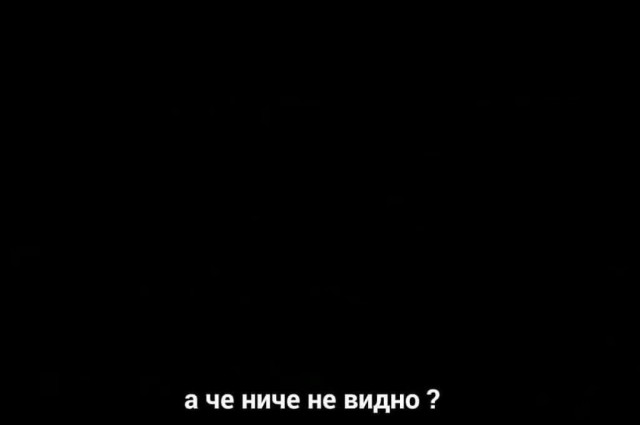 Человек разумный. Но это не точно