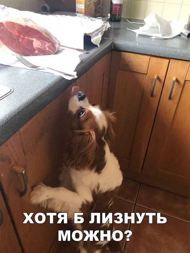 Нестандартный юмор