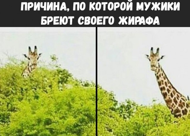Немного картинок в этот понедельник