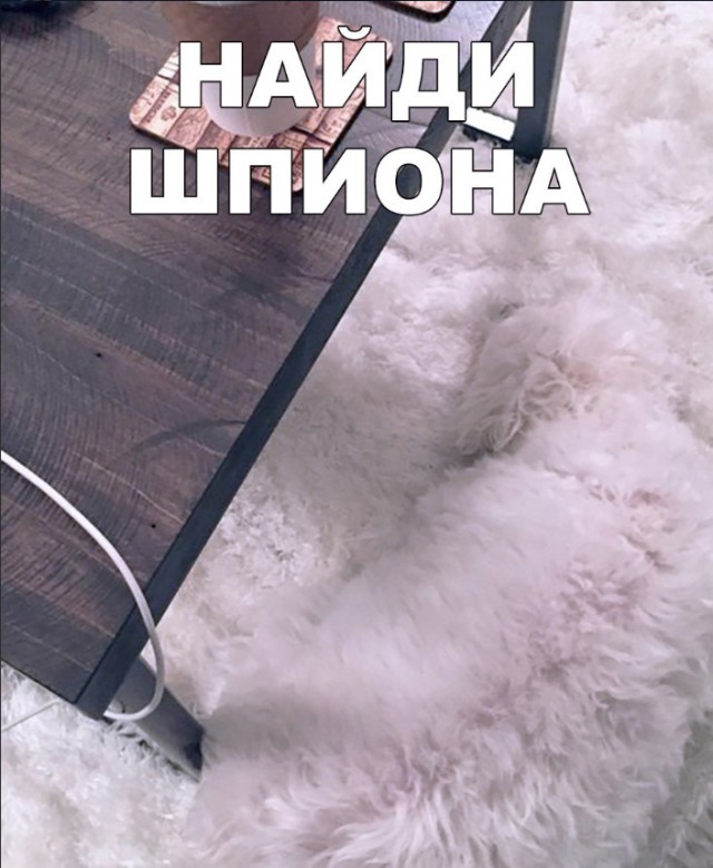 Нестандартный юмор