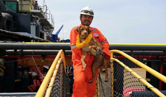 Тайские нефтяники спасли собаку
