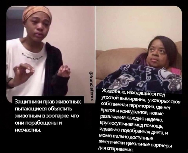 Немного картинок для настроения 10.12.19
