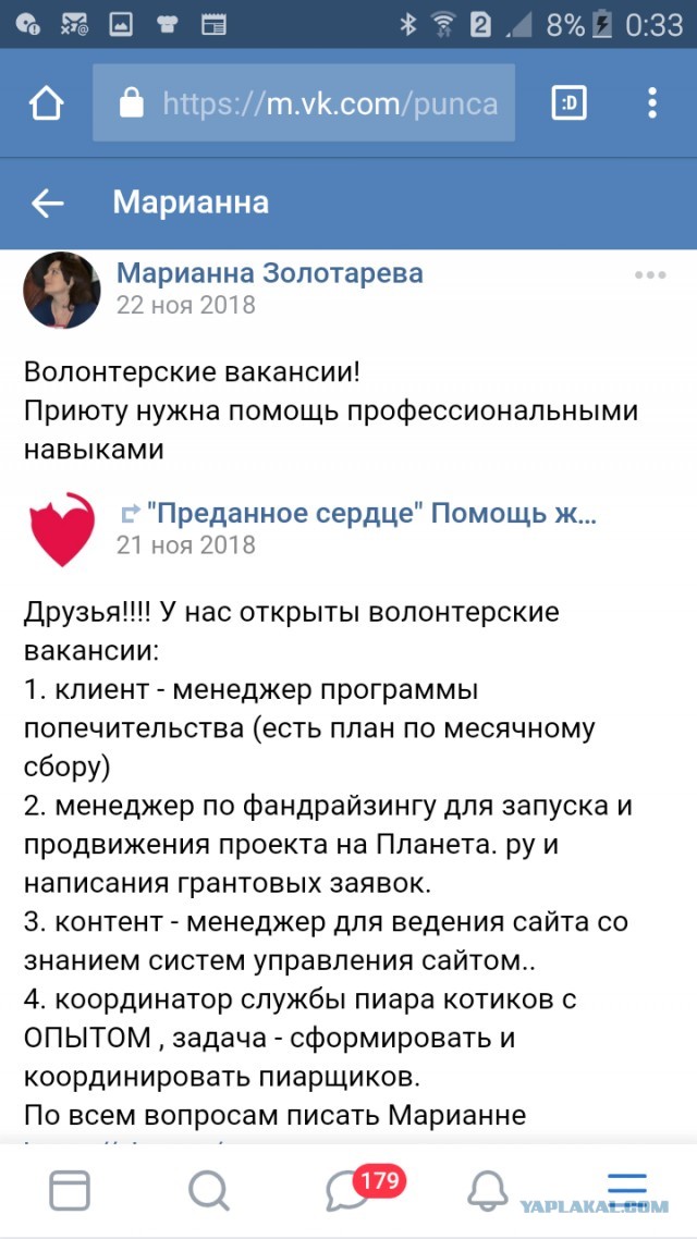 Помогите вернуть кота! Приют "Преданное сердце" украл кота и не отдает!-2