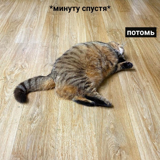 Каждое. "Доброе". Утро