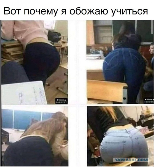 25 людей, у которых был очень плохой день и им точно не до коронавируса