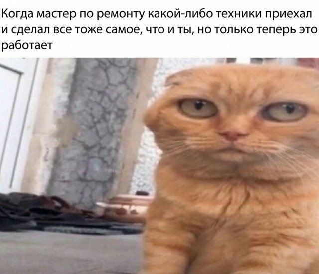 Чуток картинок 09.07.20