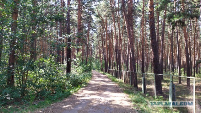 Прогулка по прошлому. Пионерский лагерь Спутник