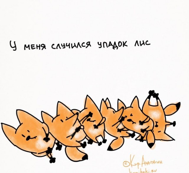 Лисички, картинки