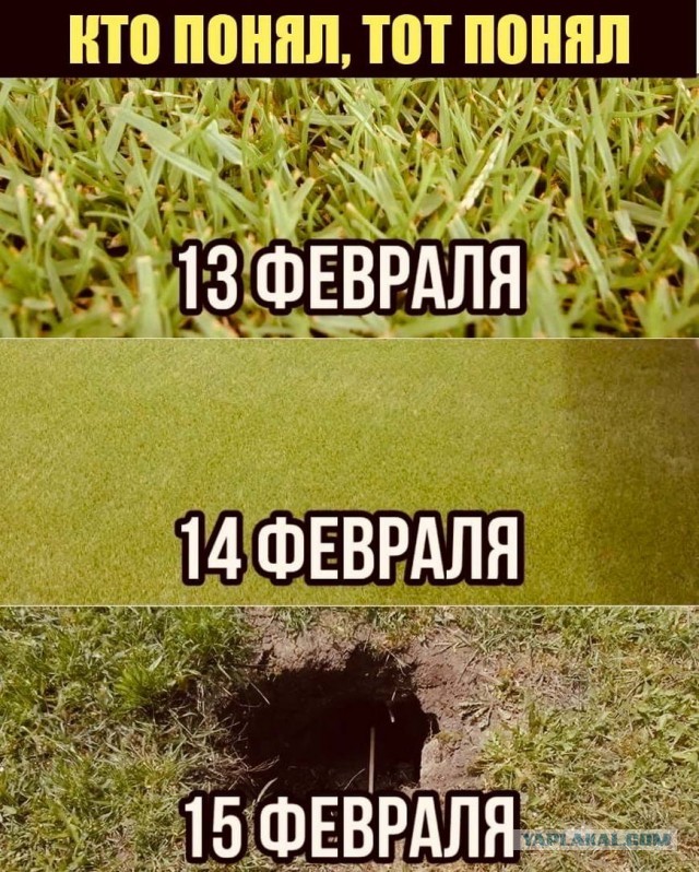 Бредзона 31.01.21
