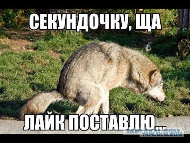Сахар 9.5