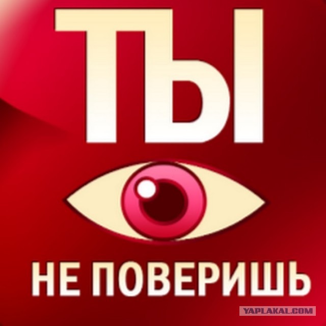 Суд Португалии вскрыл гигантские приписки в связи со смертностью от ковид: 152 человека, а не 17 000 заявленных властями