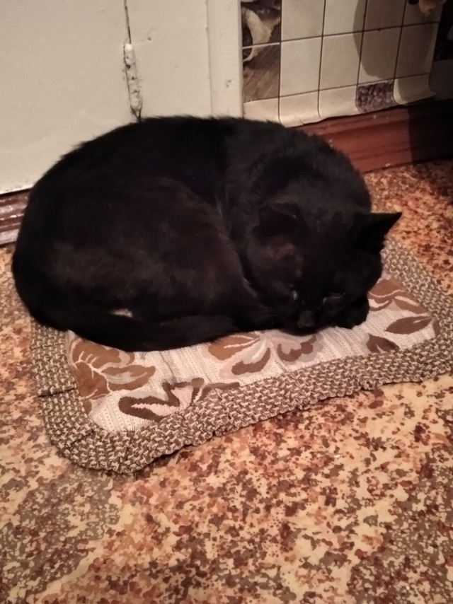 Пополнение