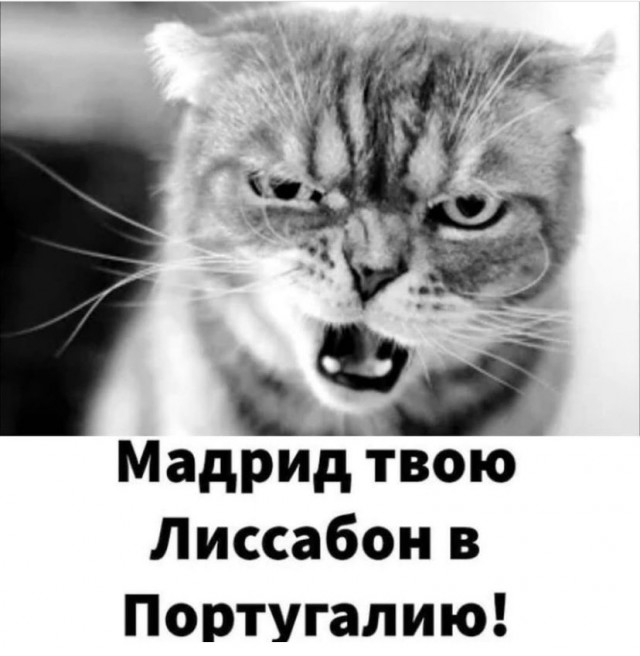 Картинки и мемы для настроения 26.10.2021