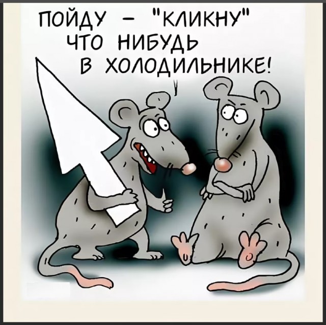 Поймать мыша не удалось