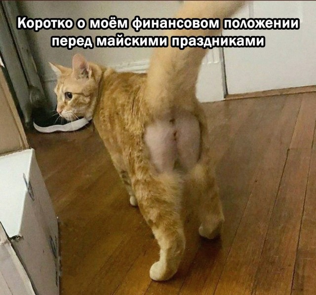 50 оттенков серого. Vol.7 Или самосвал баянов.  50 штук.