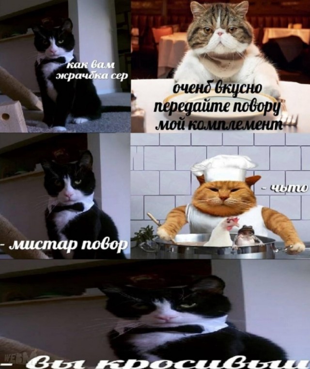 Так себе картинки 04.05.22