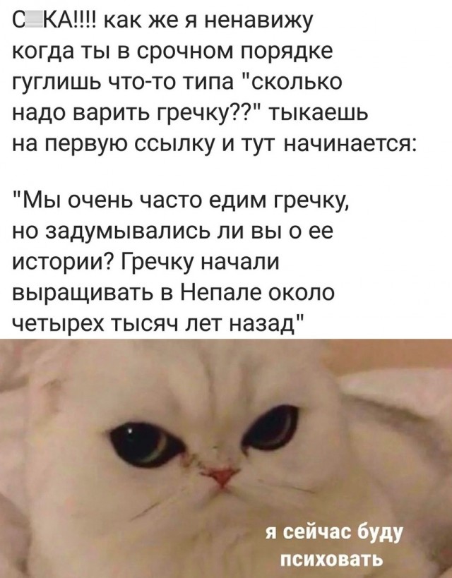 Так себе картинки 26.05.22
