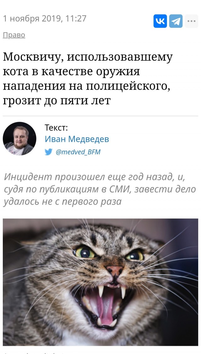 Нападение бойцовской собаки в Балашихе