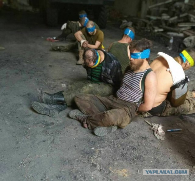 Более 800 украинских солдат сдались в плен под Лисичанском