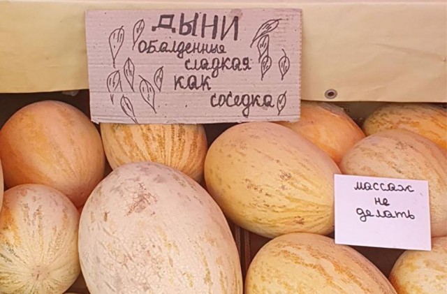 Весёлый полтишок 11.07.22