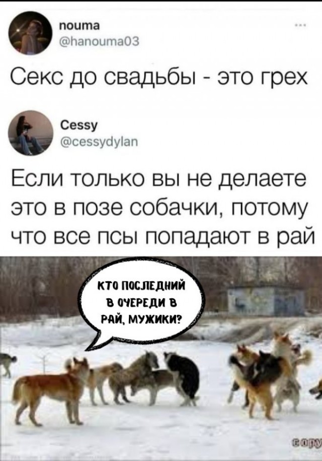 Картинки и мемы для настроения - 27