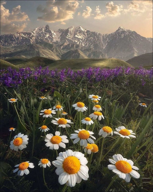 Просто фотографии 05.08.2022