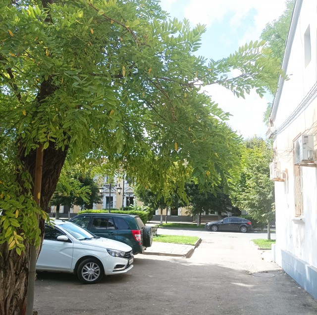 Красоты ямальской тундры