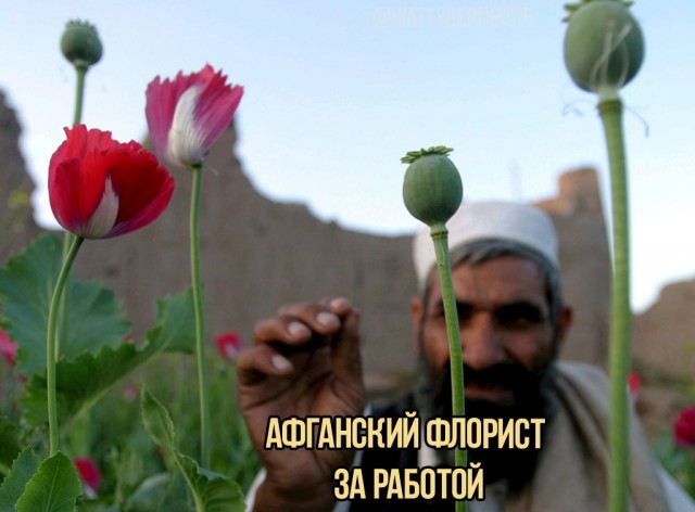 Поржать немного с утра!